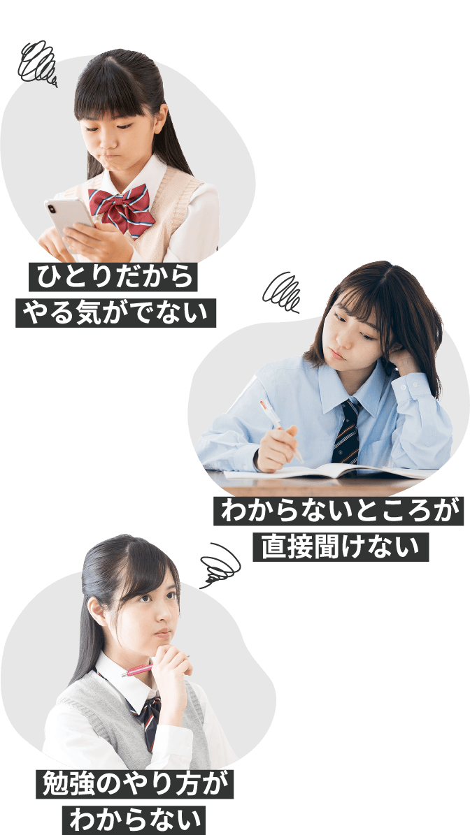 ひとりだからやる気がでない　わからないところが直接聞けない　勉強のやり方がわからない